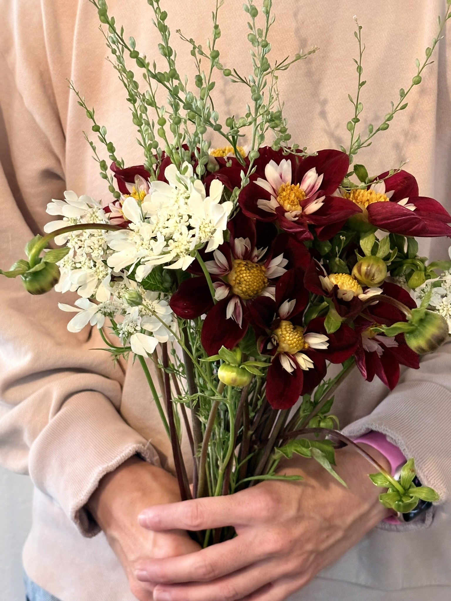 Seasonal flowers from Daisy Hatchet, photograph 1