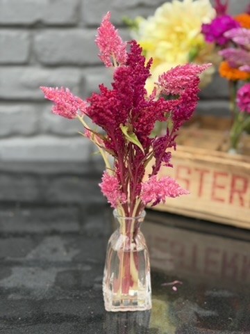 Seasonal flowers from Daisy Hatchet, photograph 3