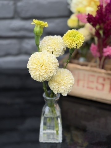 Seasonal flowers from Daisy Hatchet, photograph 4