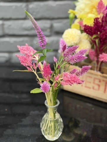 Seasonal flowers from Daisy Hatchet, photograph 5
