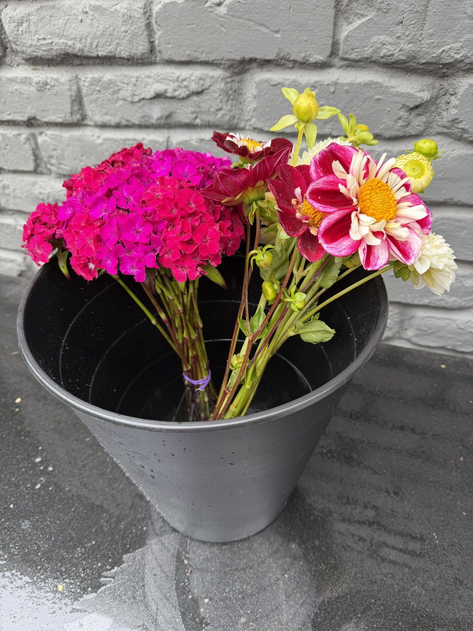 Seasonal flowers from Daisy Hatchet, photograph 6