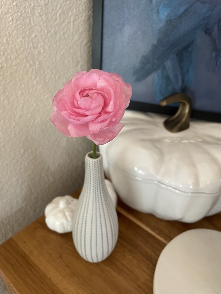 Seasonal flowers from Daisy Hatchet, photograph 8
