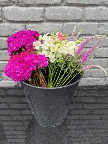 Seasonal flowers from Daisy Hatchet, photograph 14