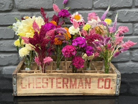 Seasonal flowers from Daisy Hatchet, photograph 13