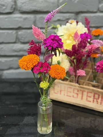 Seasonal flowers from Daisy Hatchet, photograph 19