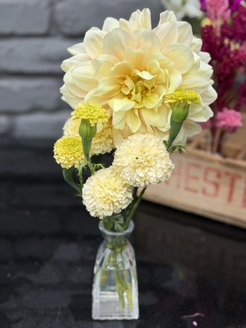 Seasonal flowers from Daisy Hatchet, photograph 20