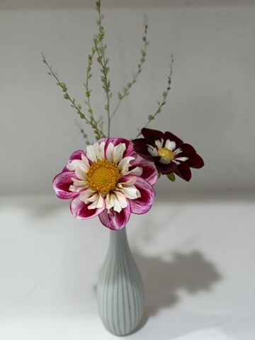 Seasonal flowers from Daisy Hatchet, photograph 21