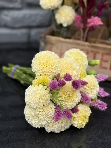 Seasonal flowers from Daisy Hatchet, photograph 26