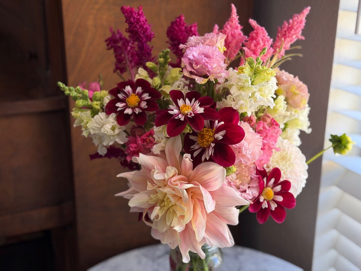 Seasonal flowers from Daisy Hatchet, photograph 36