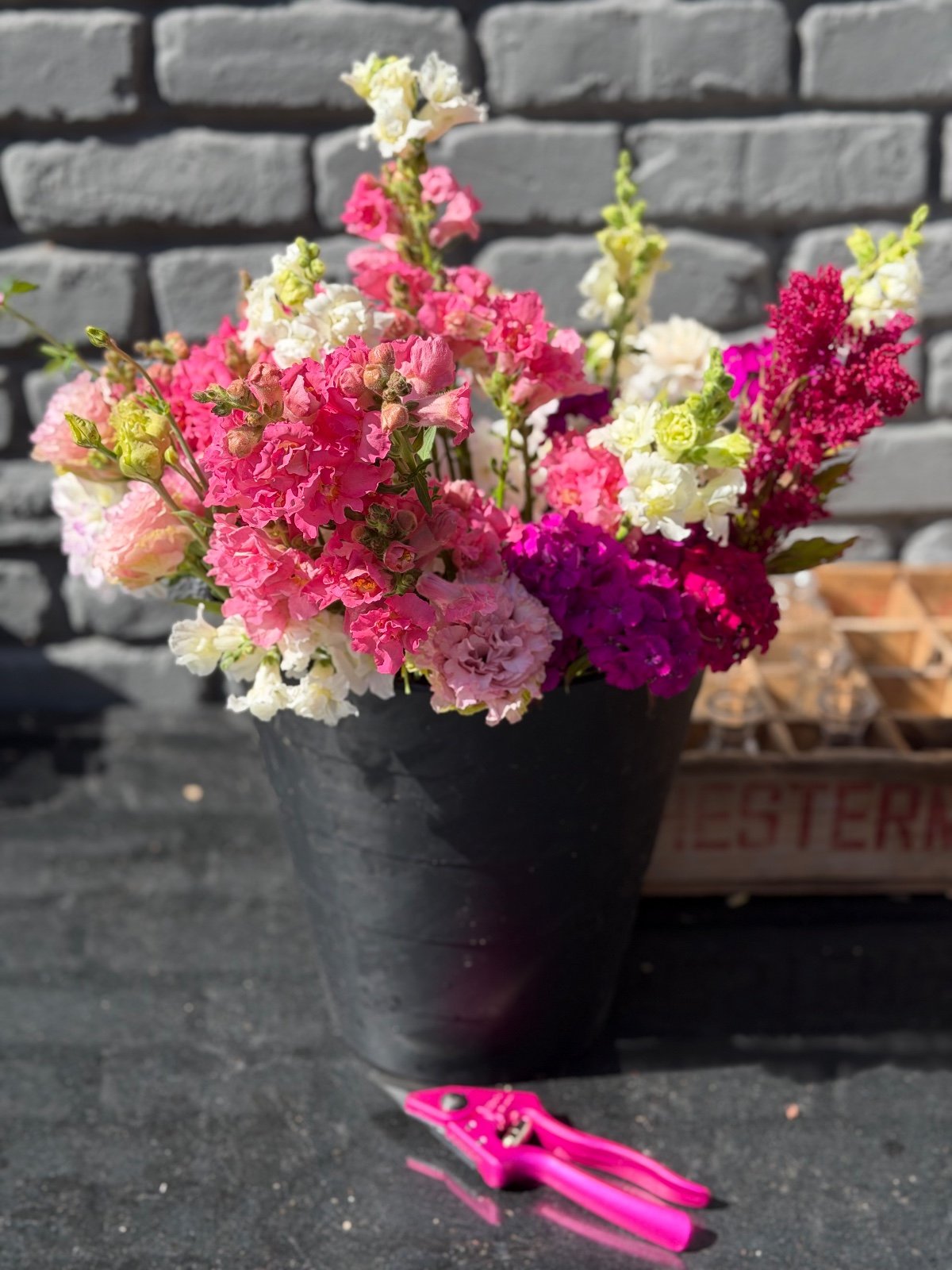 Seasonal flowers from Daisy Hatchet, photograph 37