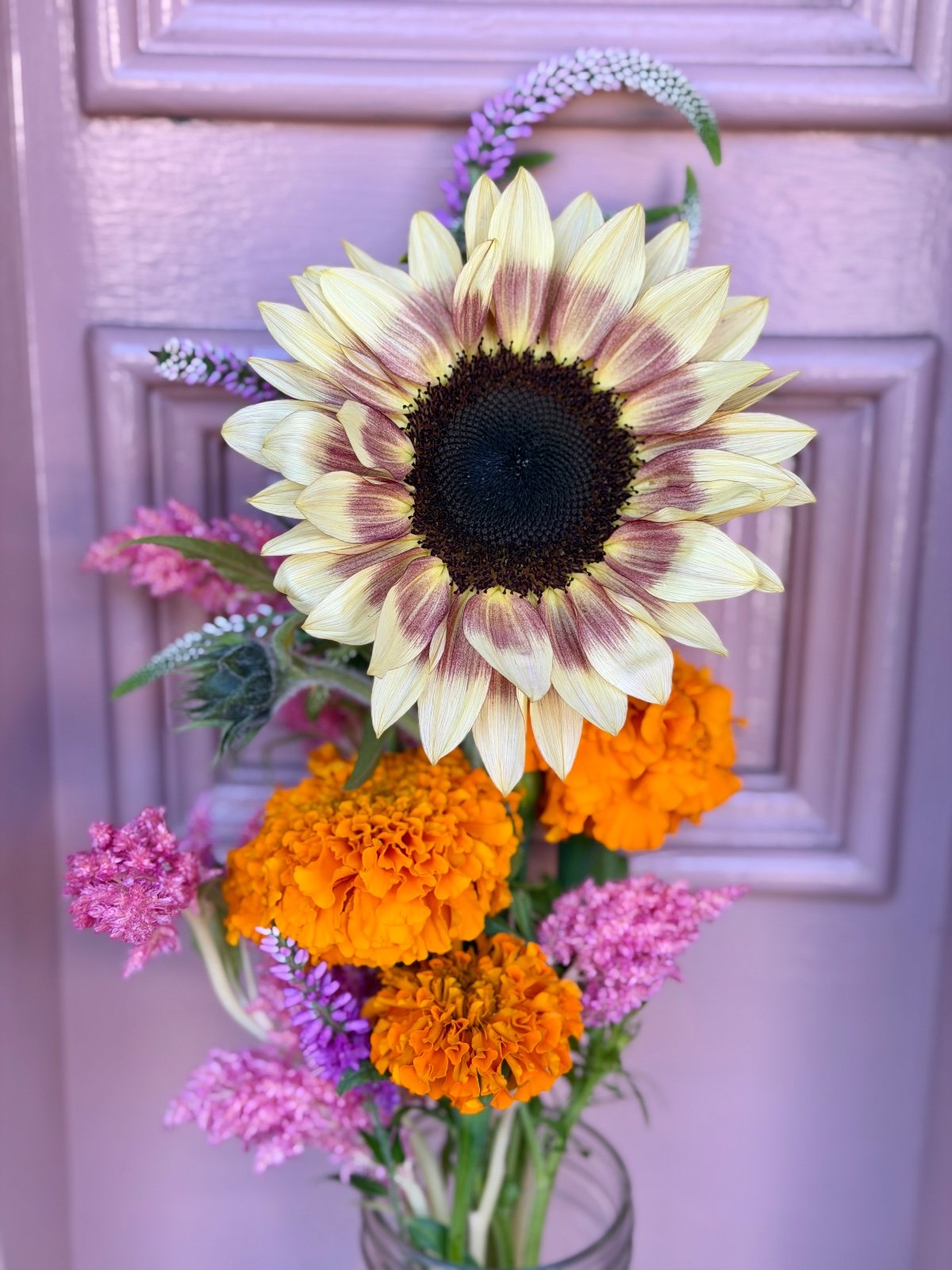 Seasonal flowers from Daisy Hatchet, photograph 34